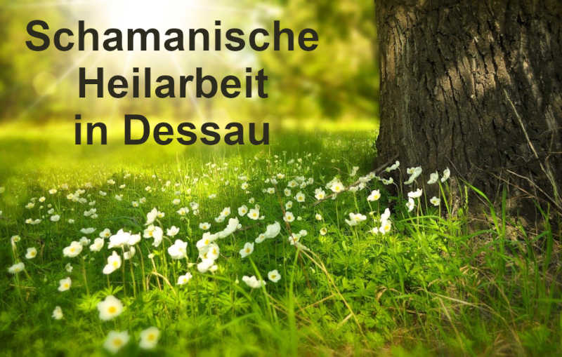 schamanische Heilsitzungen und Behandlungen in Dessau